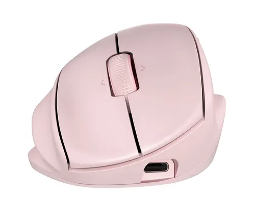 HP Tilt Ergo PNK MSE 720M EMEA-INTL EN L myszka Dom Dla praworęcznych RF Wireless + Bluetooth 6000 DPI