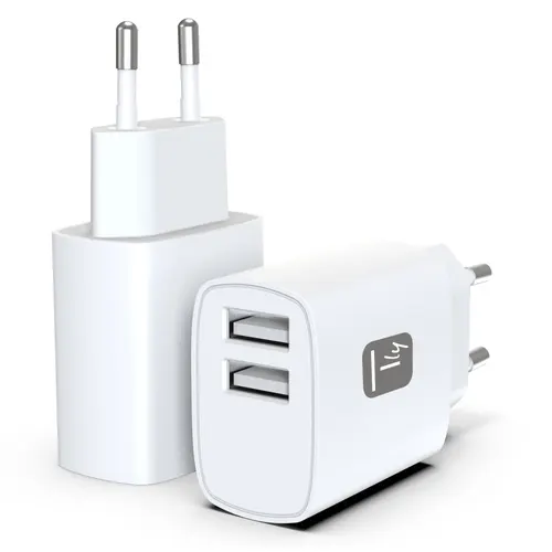 Techly IPW-USB-12W2A ładowarka do urządzeń przenośnych Słuchawki, Przenośny głośnik, Power bank, Smartfon, Tablet Biały Prąd przemienny Wewnętrzna
