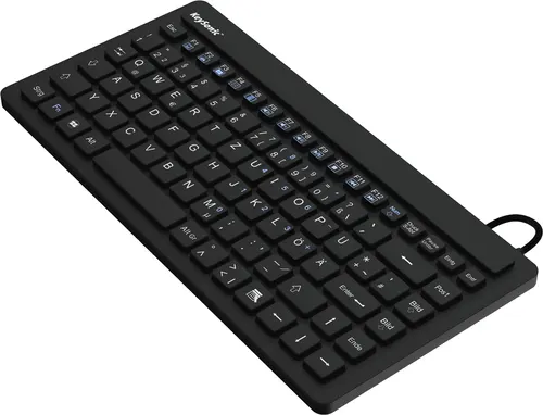 KeySonic KSK-3230IN (US) klawiatura Przemysłowy USB QWERTY US English Czarny