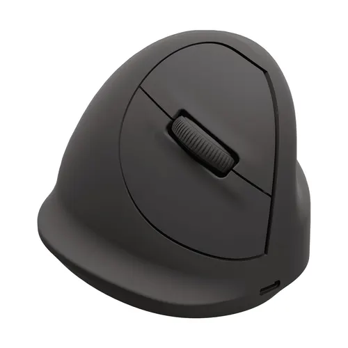 Fellowes 100143581 myszka Uniwersalne Dla praworęcznych Bluetooth + USB Type-C Optyczny 2400 DPI