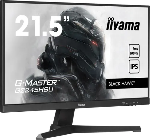 iiyama G-MASTER G2245HSU-B2 monitor komputerowy 54,6 cm (21.5") 1920 x 1080 px Full HD LED Czarny