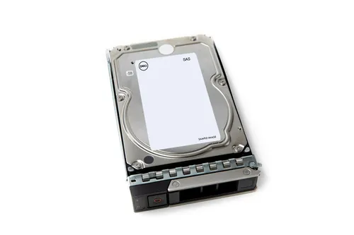 DELL 161-BCNM dysk twardy 24 TB 7200 RPM 3.5" SAS