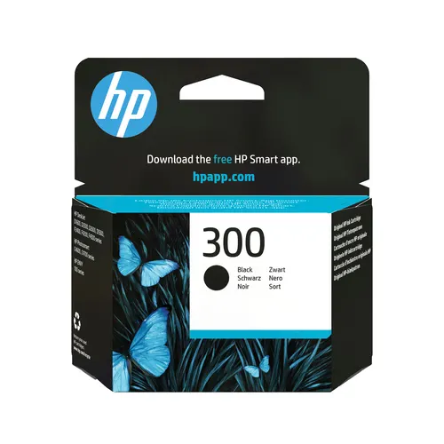 HP 300 oryginalny wkład atramentowy czarny (CC640EE#UUS)