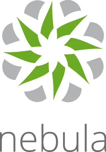 Zyxel LIC-NPRO-ZZ1Y00F licencja na oprogramowanie i aktualizacje 1 x licencja 1 lat(a)