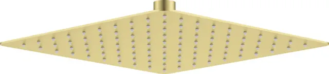 Głowica prysznicowa stalowa - 250x250 mm (NAC_R02K)