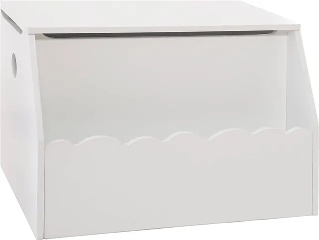 CLOSED TRUNK WHITE 58X38X39
