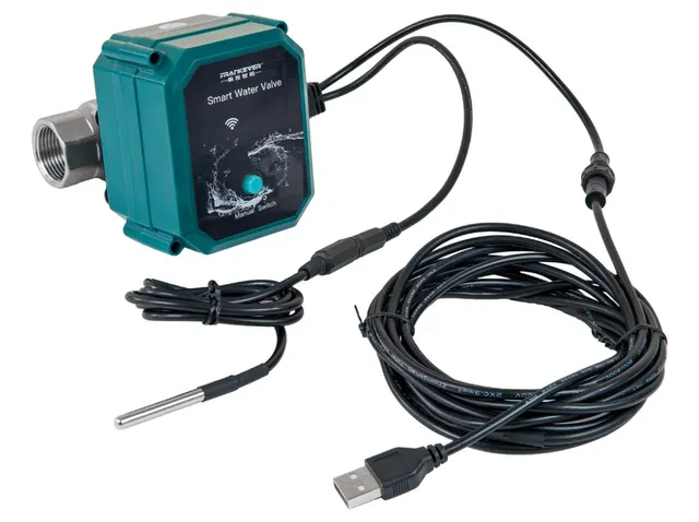 Frankever smart water valve I Inteligentny zwór wody DN15