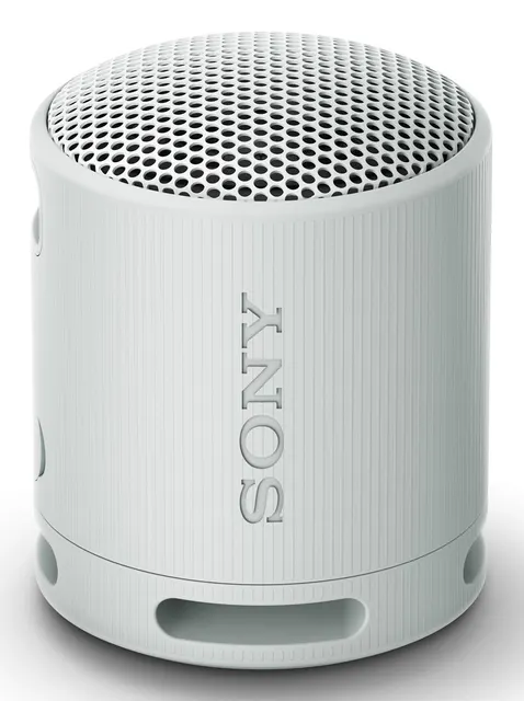 Sony SRS-XB100 Głośnik mono przenośny Szary