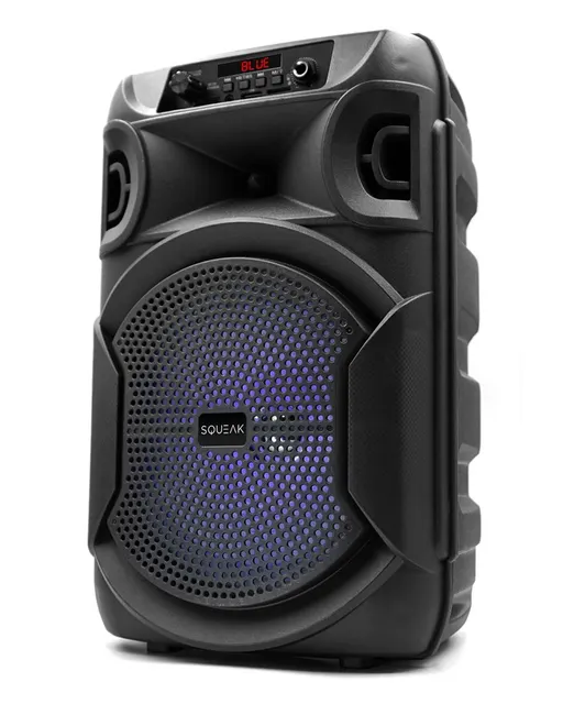 SQUEAK GŁOŚNIK KARAOKE PULSETOWER BLUETOOTH 5.3 RADIO FM MICROSD AUX USB SQ1006