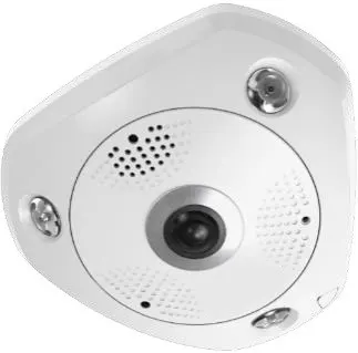 Kamera kopułkowa typu rybie oko LevelOne IPCam 12MP/H.265/IR/ 12W/PoE/IP67