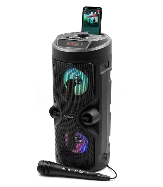 SQUEAK GŁOŚNIK KARAOKE HARMONY BLUETOOTH 5.0 RADIO FM MICROSD AUX USB SQ1004