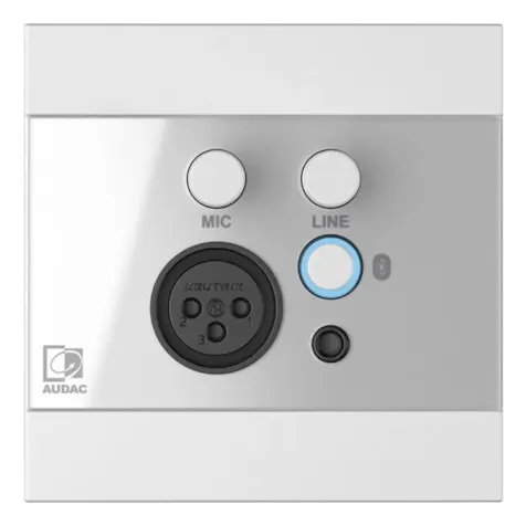 Panel ścienny AUDAC WP225/W XLR mic + 3 5 mm jack + BT biały