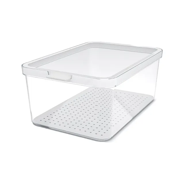 Rotho CAUMA Organizer do lodówki 4 65L