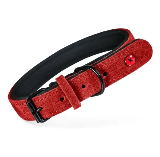 ZOLUX Obroża d/psa skórz.komfort 35cm/14mm czerwony
