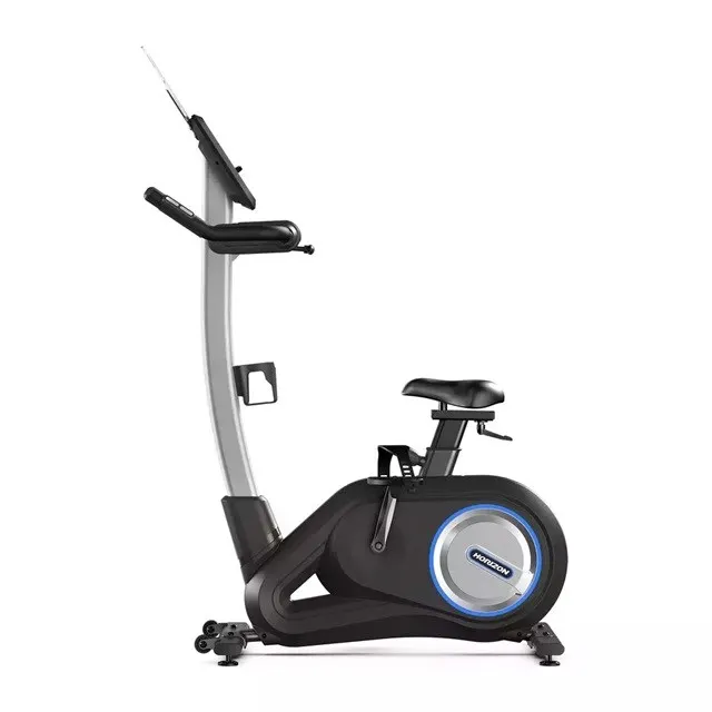 Rower treningowy pionowy HORIZON FITNESS Paros 3.0