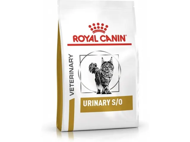 ROYAL CANIN Urinary S/O - sucha karma dla kota - 1 5 kg