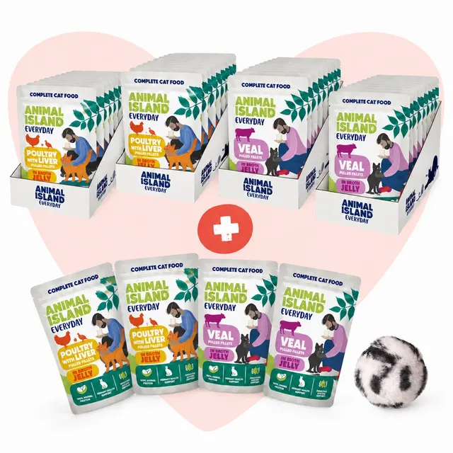 ANIMAL ISLAND Love Box Fileciki w galarecie mix smaków 48szt + zabawka