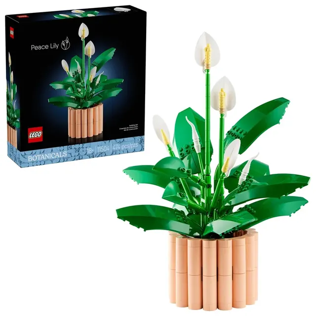 LEGO Botanical Collection 11504 - Skrzydłokwiat