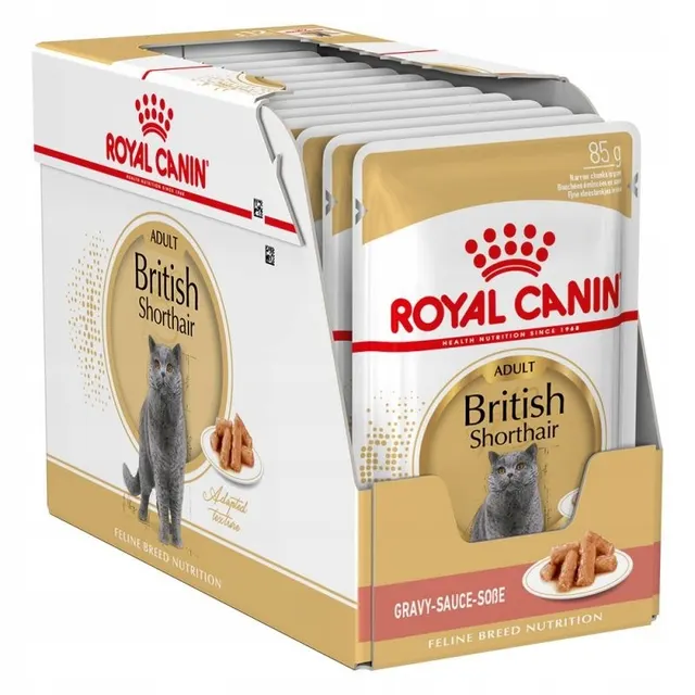 ROYAL CANIN FBN British Shorthair Adult - mokra karma dla dorosłego kota - 12x85g