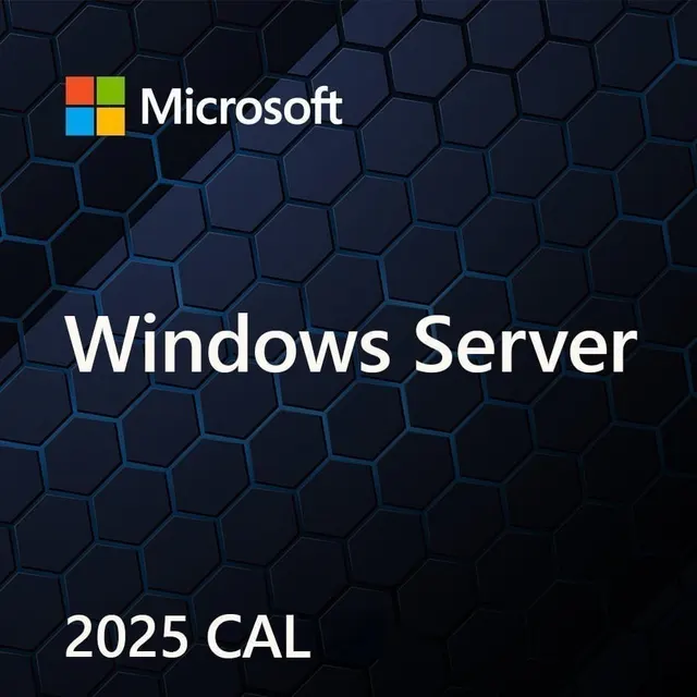 MS Windows Svr CAL 2025 PL 5Clt Device CAL OEM