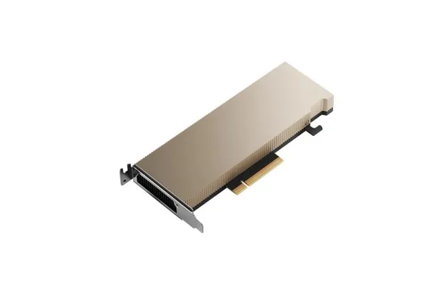 Karta graficzna PNY NVIDIA A2 Module 16 GB GDDR6 ECC PCIe 4.0 x16 LP - ATX bracket retail