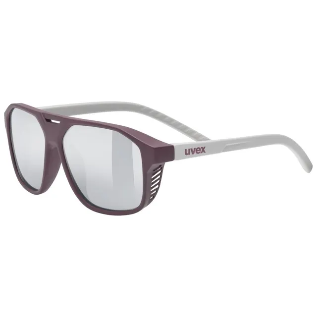 Uvex cosmic Unisex Oprawki pełne Srebrny