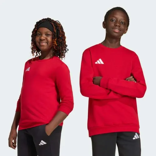 Adidas JZ6556_520 sportowy sweter / bluza z kapturem