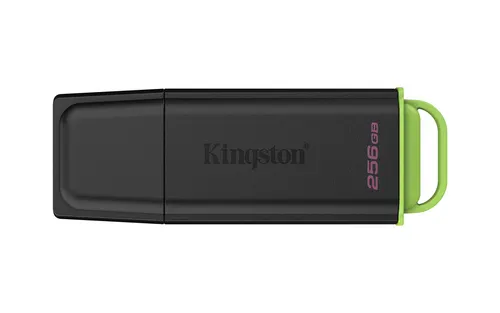 Kingston Technology DataTraveler 256GB Przenośny USB 3.2 Gen 1 Exodia Czarny/zielony