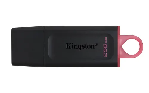 Kingston Technology DataTraveler Pamięć flash USB ® Exodia USB 3.2, 256 GB