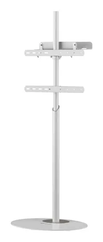 Techly ICA-TR544 uchwyt do telewizorów 165,1 cm (65") Biały