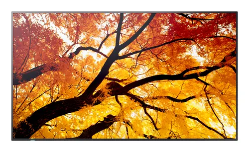 Sharp MultiSync M432 Płaski panel Digital Signage 108 cm (42.5") LCD 550 cd/m² 4K Ultra HD Czarny