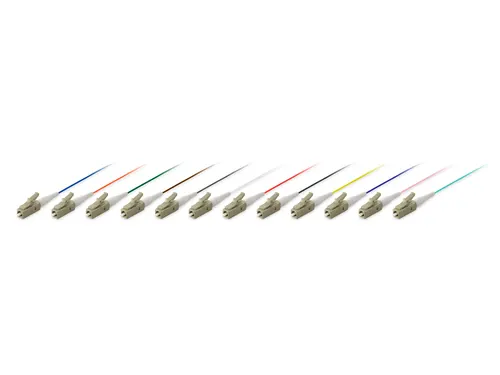 Equip 255642 kabel InfiniBand / światłowodowy 1 m LC Wielobarwny