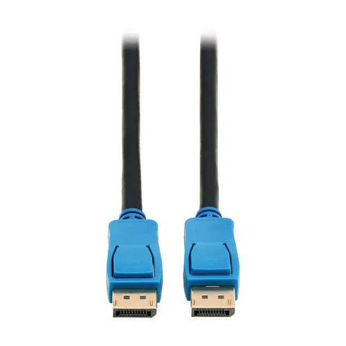 Eaton P580-020-8K6 kabel DisplayPort 6,09 m Czarny, Niebieski