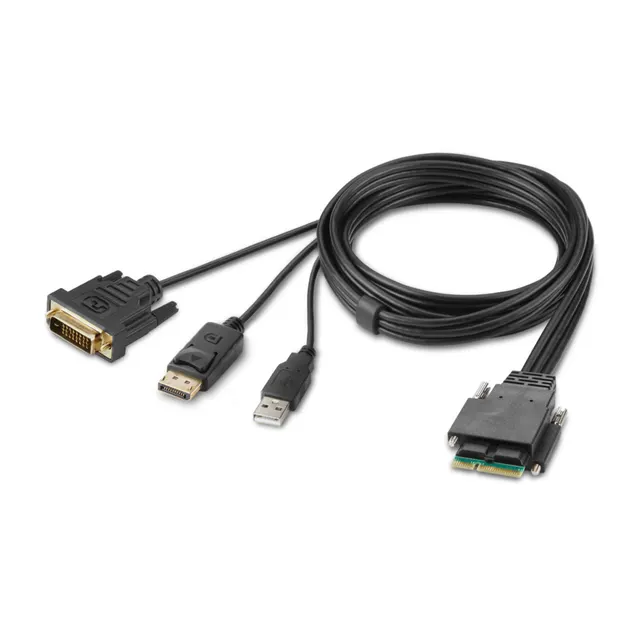 MODULAR DVI AND DP DUAL HEAD/HOST CABLE 6 FEET