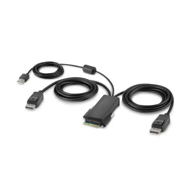 MODULAR DP DUAL HEAD/HOST CABLE 6 FEET