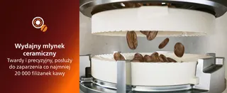machines à latte à grain avec broyeurs vapeur cafetière instantanée vapeur de lait vapeur de lait